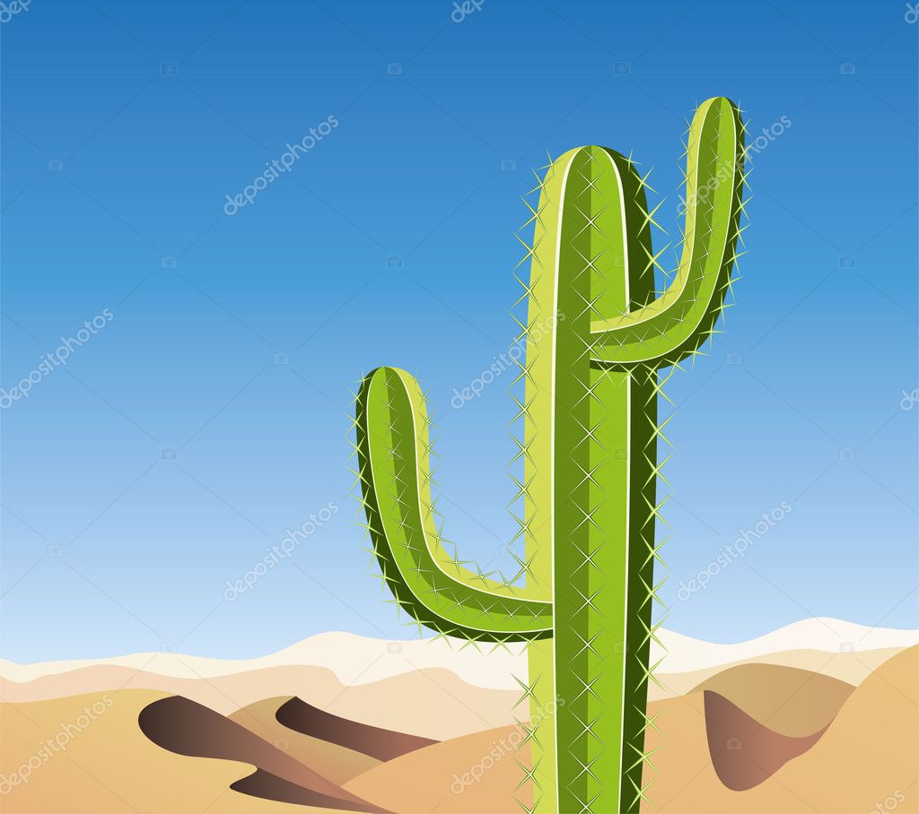 Vector cactus in sandy desert — Stock Vector © dmstudio #11441076