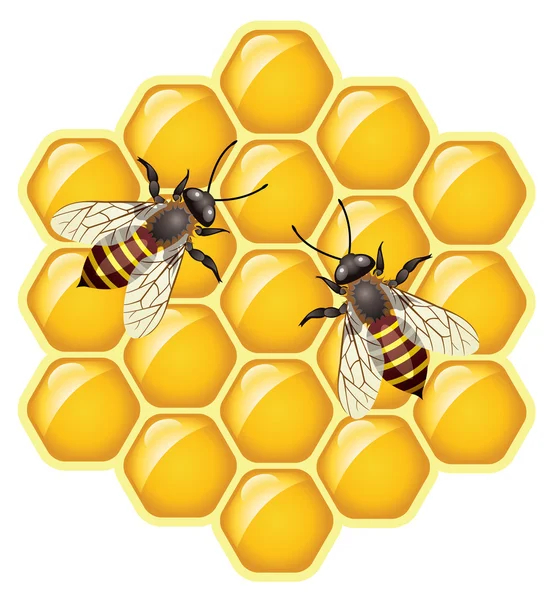 14,061 Bees Vectors, Royalty-free Vector Bees Images | Depositphotos®