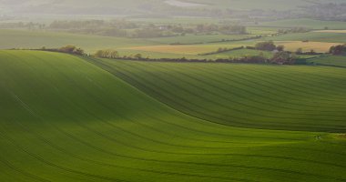 Detail of rolling hills in beautiful landscape clipart