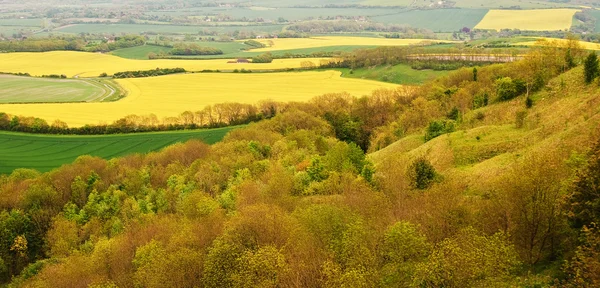Rural landscape overlooking bright yellow fields of rapeseed — Stock Photo, Image