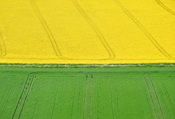Krajobraz wiejski z widokiem na jasne żółte pola rzepaku — Zdjęcie stockowe