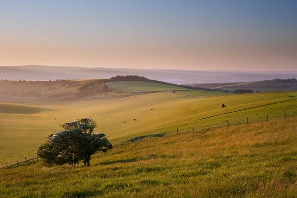 Summer sunrise over English countryside rural landscape — Stock Photo, Image