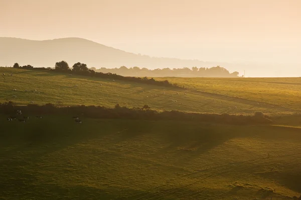 Zomer zonsopgang boven Engels platteland rurale landschap — Stockfoto