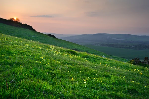 Захід сонця над пишною зеленою сільською місцевістю — стокове фото