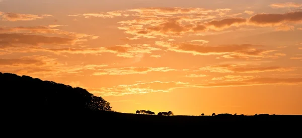 Stunning sunset sky with silhouette landscape horizon — Stock Photo, Image