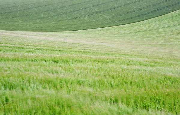 Landscape across agricultural fields on windy Summer day — Stock Photo, Image