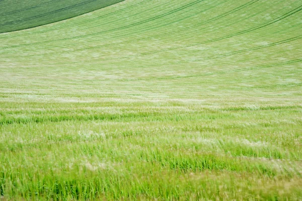 Landschap over landbouwgronden op winderige zomerdag — Stockfoto