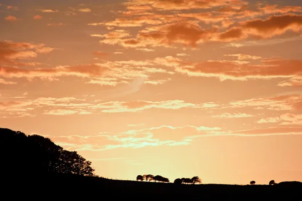 Céu deslumbrante do pôr do sol com horizonte de paisagem silhueta — Fotografia de Stock