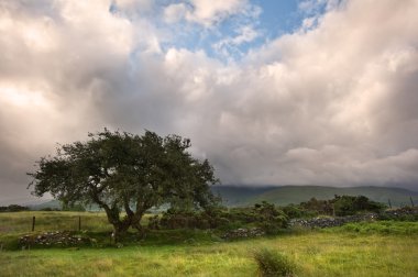 Countryside landscape image across to mountains in distance with clipart