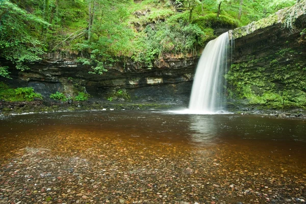 Beau ruisseau boisé et cascade en été — Photo