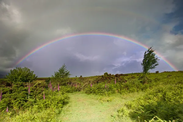 Regenbogen im stürmischen Himmel über der Fingerhutlandschaft — Stockfoto