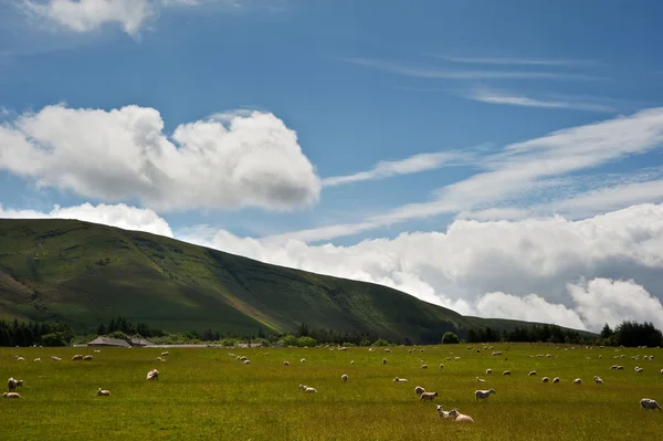 stock image Countryside landscape image across to mountains in distance with