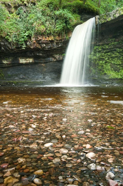 Bellissimo ruscello boschivo e cascata in estate — Foto Stock