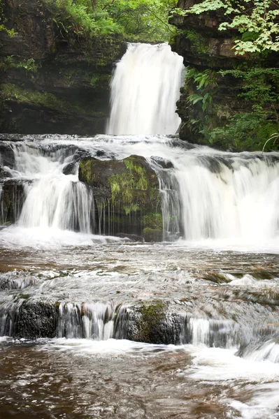 Bellissimo ruscello boschivo e cascata in estate — Foto Stock