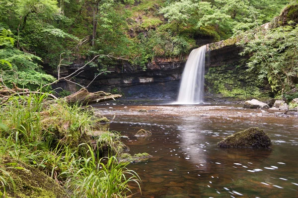 Красивий лісовий потік і водоспад влітку — стокове фото