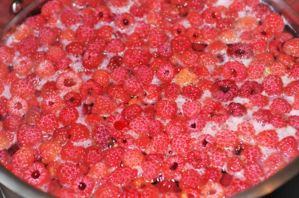 Compota, fruta guisada de frambuesas —  Fotos de Stock