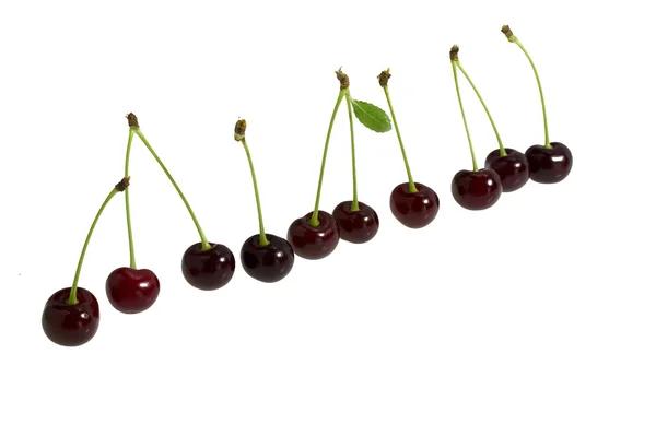 Some dark berries of a cherry. — Stock Photo, Image