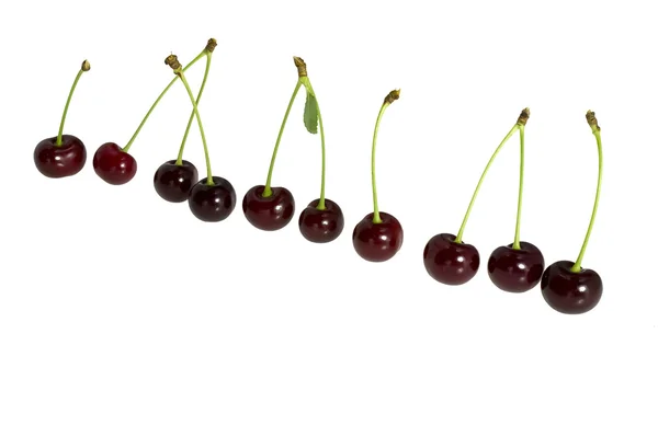 Néhány sötét bogyós gyümölcsök, a cseresznye. — Stock Fotó