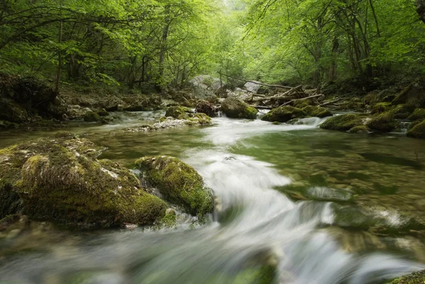 El paisaje hermoso con el río montañoso en la Crimea — Foto de Stock