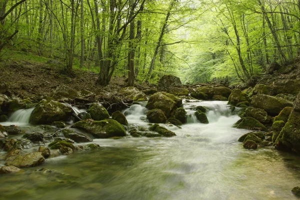 Prachtig landschap met alpene rivier in de Krim — Stockfoto
