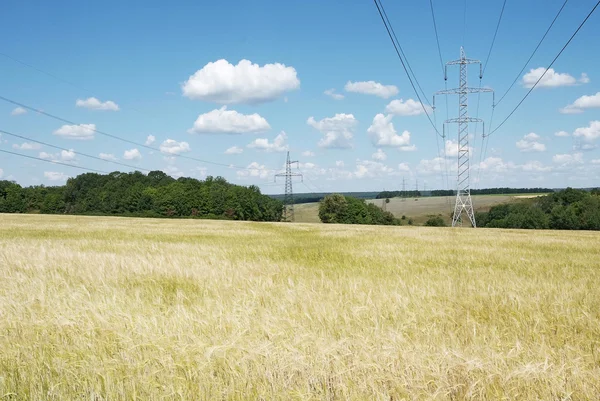 stock image Electrical high voltage lines on the wheat field