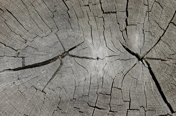 Close up rough old wood texture background — Stock Photo, Image