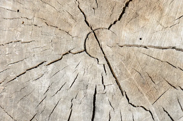 Close up rough old wood texture background — Stock Photo, Image