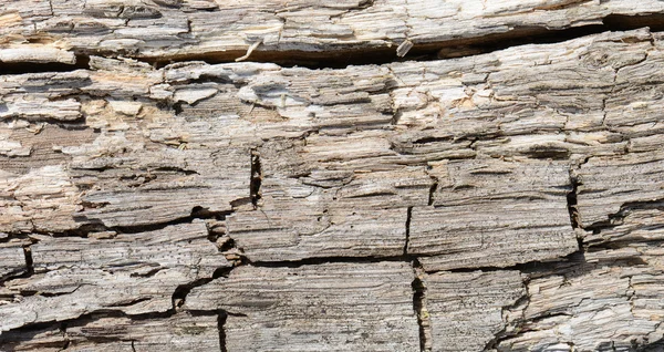 Крупним планом грубий старий фон текстури деревини — стокове фото