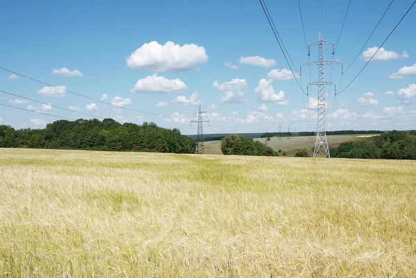 Elektrische Hochspannungsleitungen auf dem Weizenfeld lizenzfreie Stockbilder