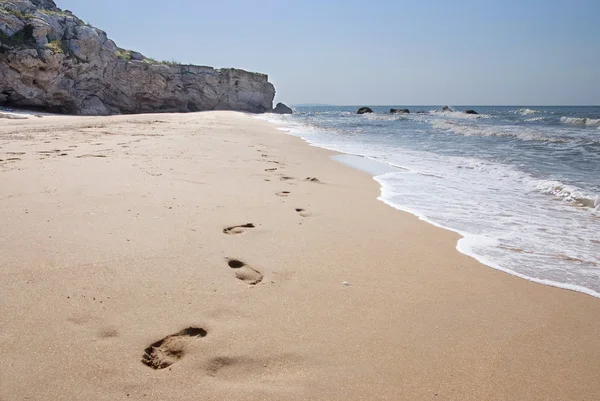 Пустынный пляж летом в Крыму Стоковое Фото