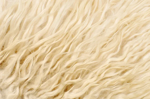 Gros plan peau de mouton texture fond Photos De Stock Libres De Droits