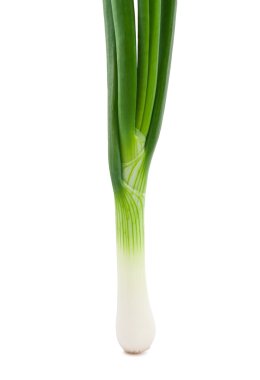 Green Onion on white background clipart