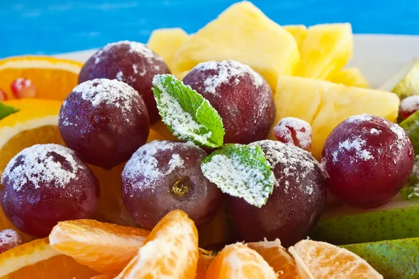 Kleurrijke vruchten in poedersuiker — Stockfoto