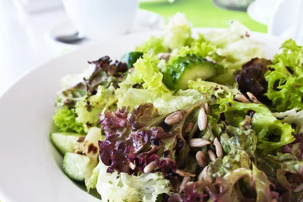 Salat mit Gurken — Stockfoto