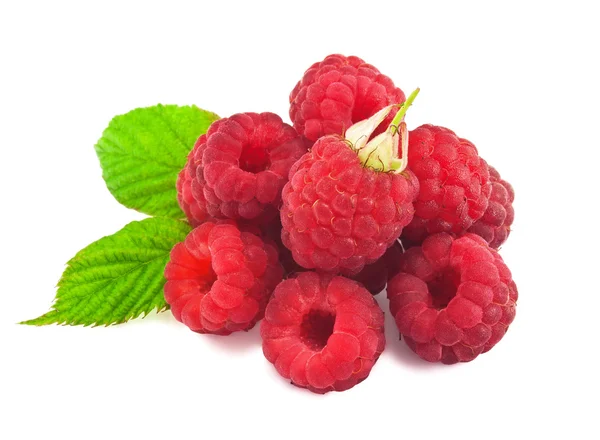 Red Raspberry with green leaf — Stock Photo, Image