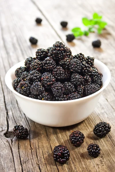 在一个白色的碗中的黑莓 — 图库照片
