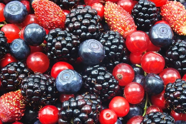 Различные свежие ягоды — стоковое фото
