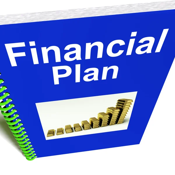 Financieel plan verslag toont inkomsten strategie — Stockfoto