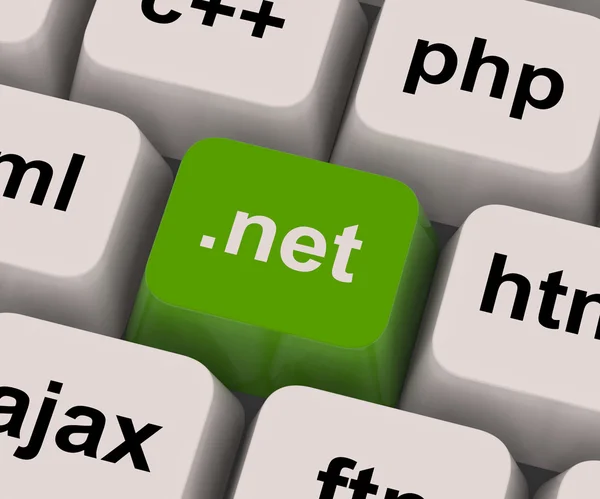 Dot Net Key Shows Programming Language Or Domain — Stock Photo, Image