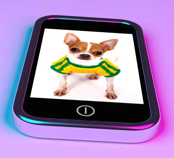 Söt chihuahua hunden på mobiltelefon — Stockfoto