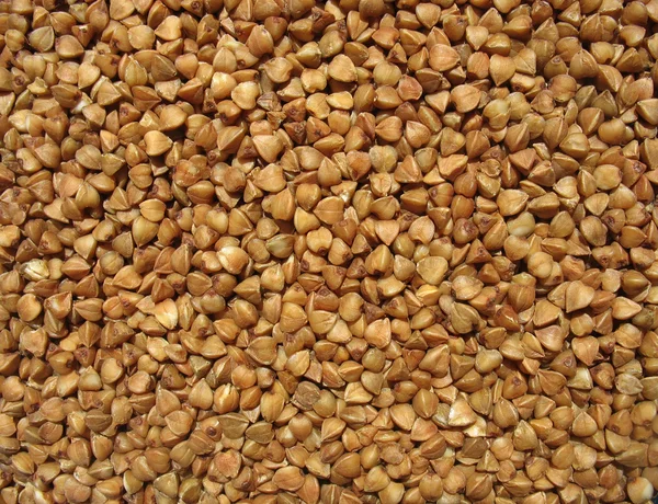 Buckwheat close up. Background — Stock Photo, Image