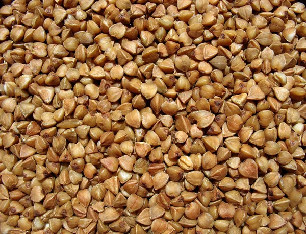 Buckwheat close up. Background Stock Image