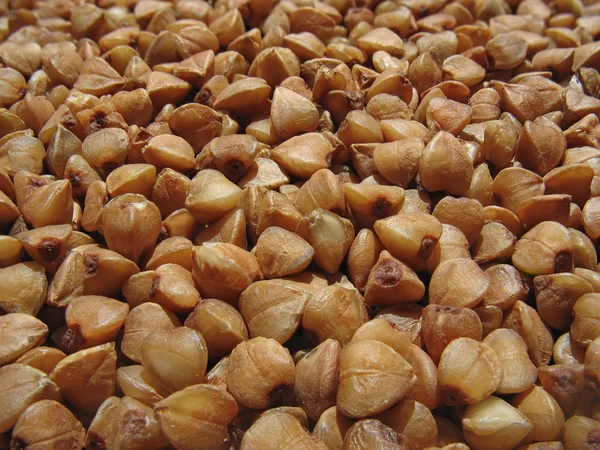 Buckwheat close up. Background — Stock Photo, Image