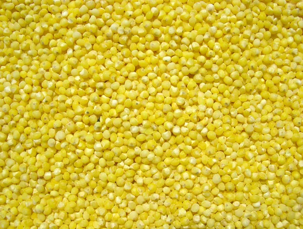 Millet close up. Background — Stock Photo, Image