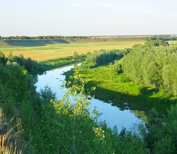 Letní krajina. malá řeka — Stock fotografie