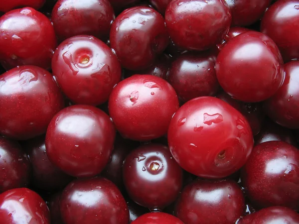 Cherry bij water drops - berry achtergrond — Stockfoto