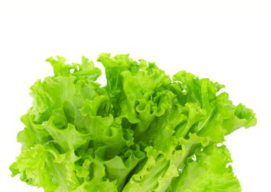 Beyaz arkaplanda marul izole.