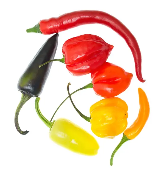 stock image Mix of fresh colorful hot chili peppers on white