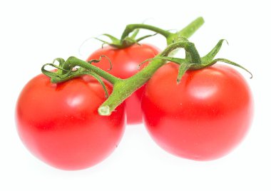 Beyaz arka planda izole edilmiş kiraz domatesleri dalı