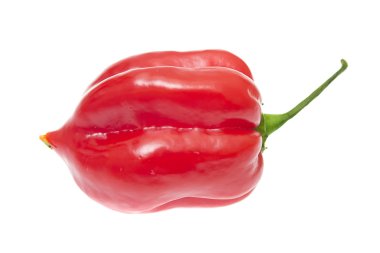 Fresh colorful hot chili pepper on white clipart